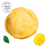 Sorbet mangue bio 500 ml