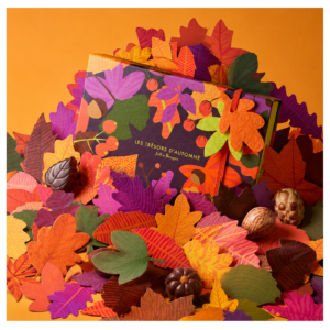 b0153c2368b4f2215841fb512aa727f7285a5991 Boite carr e automne 2 8 Jeff de Bruges Logroño